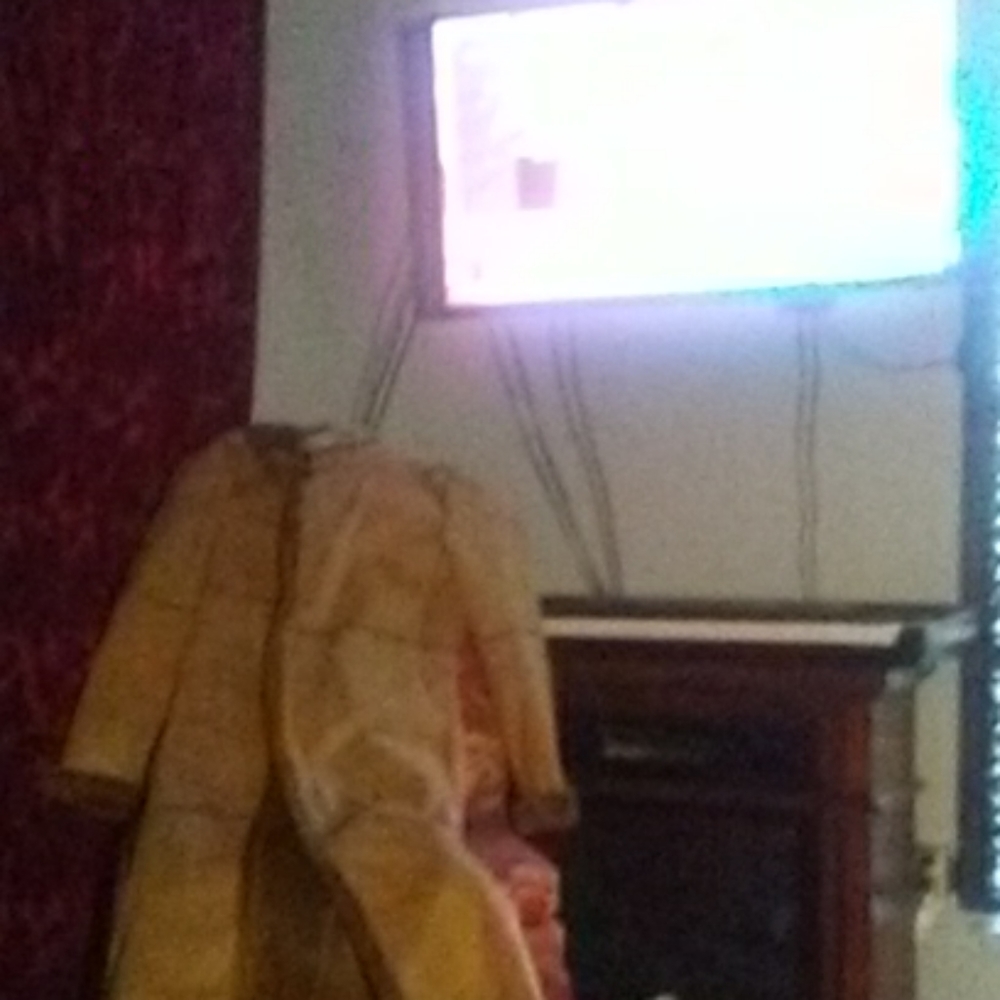 Long coat    sherpa    tan  1x